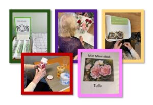 Montessori Care webinar