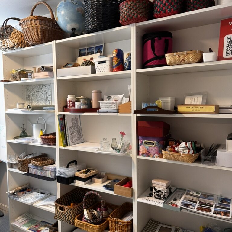 webinar bilde montessori care